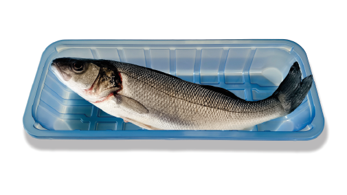 Branzino Eviscerato