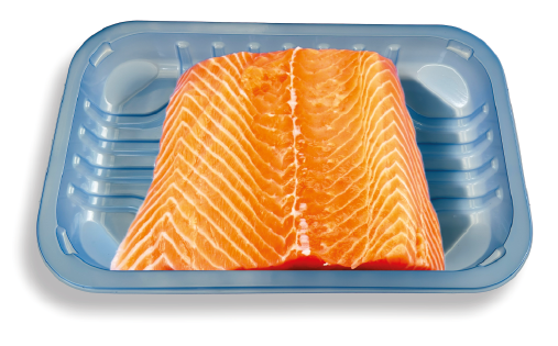 Filetto di Salmone
